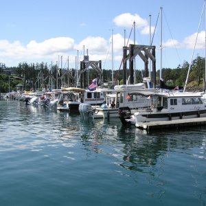 Media 'The line up on dock "H".' in album 'Leaving Everett Marina on Friday morning'