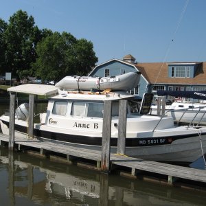 IMG 0298