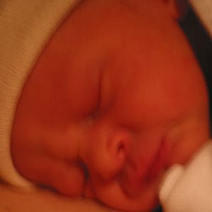 112-1215_IMG.JPG