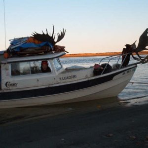 Horny boat.JPG