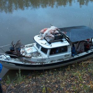 Illuaqsiri on 3 day slough after we loaded the moose.JPG