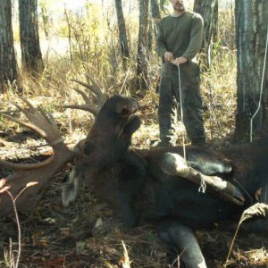 Media 'Wooh Moose.JPG' in album '111-1164_IMG.JPG'