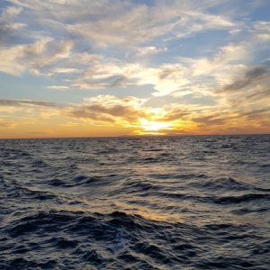 Media 'You have to love the sunset in the fall in south OC!' in album 'WE made it to Dana Point from San Berdo!'