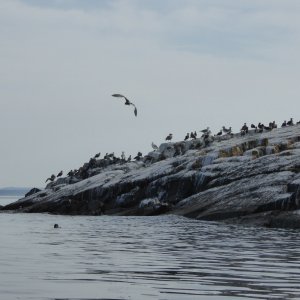 Bird Poo Point. You can smell it from about half mile away. Yuck.