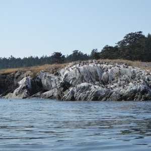 Bird Poo Point. You can smell it from about half mile away. Yuck