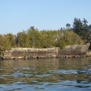 From what I've read, La Merced was a 4-masted schooner, scuttled here as a breakwater along the Anacortes waterfront in 1966