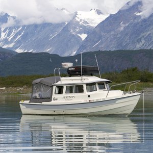 Media 'Reid Inlet, Glacier Bay NP, AK' in album 'Serenity in the factory in March, WA'