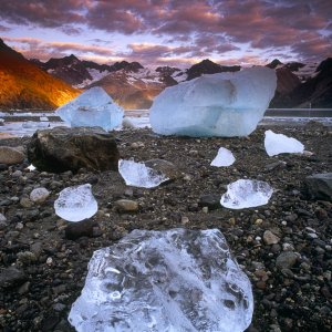 Johns Hopkins Inlet at sunrise, Glacier Bay NP, AK