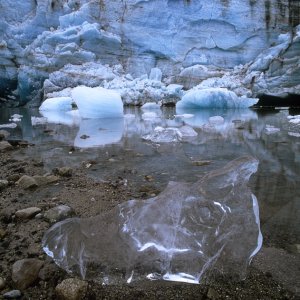 Media 'Lamplugh Glacier ice, Glacier Bay NP, AK' in album 'Serenity in the factory in March, WA'