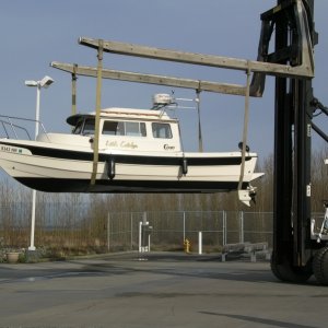 Delivery Day for John 3
