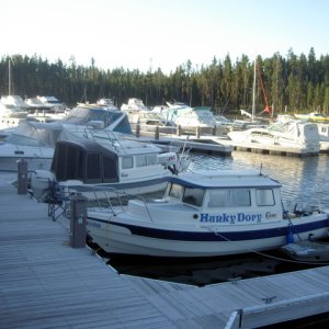 The white on the bow of the Mokai is frost.  Down to 28 degrees that morning