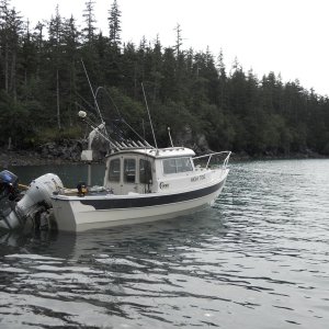 Entry Cove, PWS (2013)