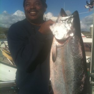 Biggest Salmon on my boat in 2011
30+ pounds 125 deep 18 miles out VK2 Flasher