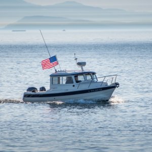 Media 'Coming in from a nice adventure.' in album 'First fish on the boat and new name.'