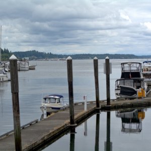 Looking out at Budd Inlet