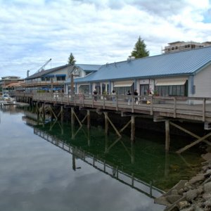 Percival Landing / Fiddlehead Marina