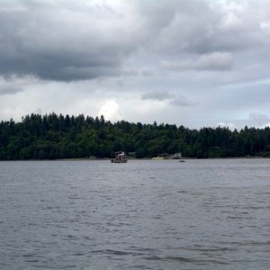 Probably can't see the dead grey whale in Budd Inlet. Harbor patrol boat just pulling up to it, after recieving the report a short while earlier.