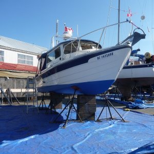 Best Hull Pictures (8)
