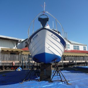 Best Hull Pictures (12)