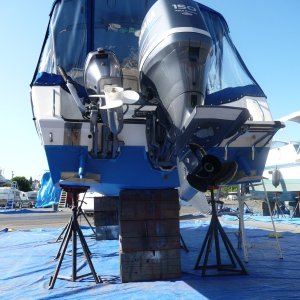 Best Hull Pictures (15)