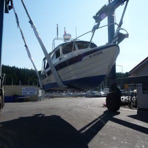 Media 'Best Hull Pictures (22)' in album 'Best Hull Pictures (1)'