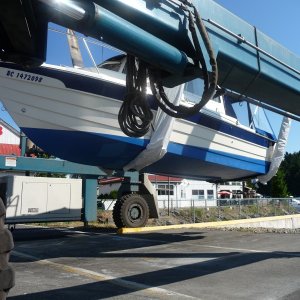 Media 'Best Hull Pictures (24)' in album 'Best Hull Pictures (1)'