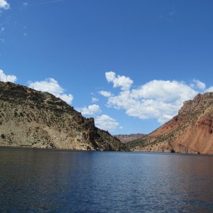 IMG 0782