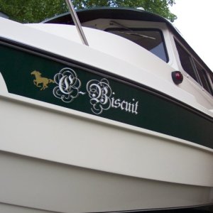 (C-Biscuit) The New Name Decal on the Biscuit