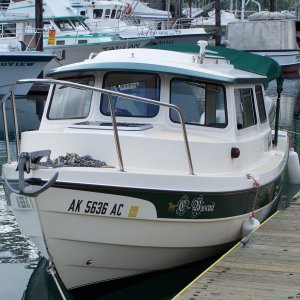 Media 'At the small boat dock in Whittier, AK' in album '(C-Biscuit) Bear Hunt in April'