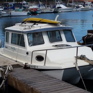 Media 'TomCat "Amy Blue" - Maalaea Harbor, Maui' in album 'Helen & Dave of Sailor-D at Fulford Harbor, Saltspring Island, BC'