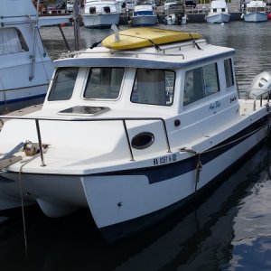 Media 'TomCat "Amy Blue" - Jan 2015 - Maui' in album 'Helen & Dave of Sailor-D at Fulford Harbor, Saltspring Island, BC'