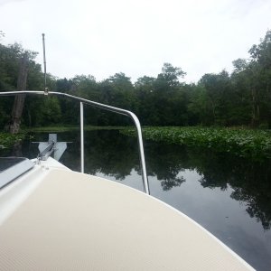 St Johns River
