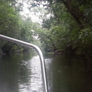 Hontoon Dead River Cut
