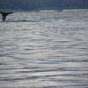DSCN0568