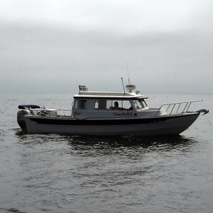 Dinner Belle II