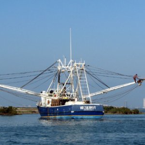 Shrimper aground