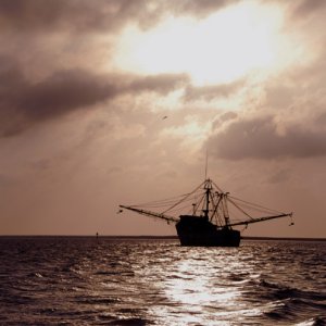 Shrimper at sunset