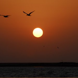 Valentine's Day sunset