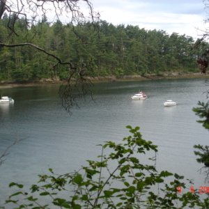 10 June Shallow Bay
   3 C-Dorys