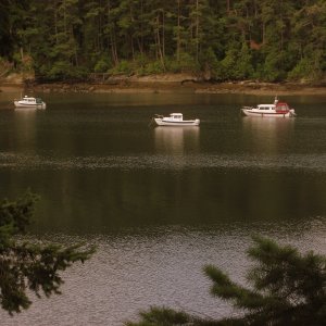 10 June 2007 
Shallow Bay, Sucia Island
    HALCYON, R-MATEY
      and DAYDREAM
