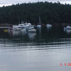 10 June Beautiful morning 
   in Shallow Bay