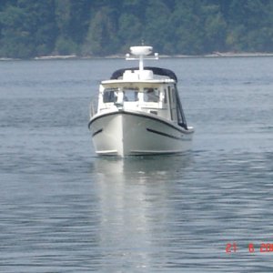 21 August Cornet Bay
     ALOYSIUS