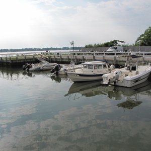 At the dock