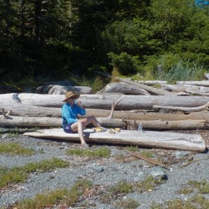 A picnic table.