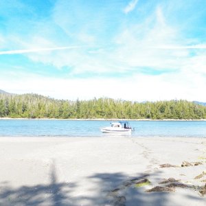 We continued north to Columbia Cove on the Brooks Peninsula, used twice by Captain Gray in 1791.  Probably a great anchorage for a large sailing vessel.  Nothing special for us.  In fact it was our windiest anchorage (other than Volcanic Cove before we decided to move).