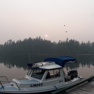 We were having our fish processed at SRP Processing at the SlamBang Lodge.  This is what the smoke looked like when we dropped off our catch one evening.