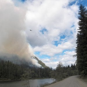 When driving out, we came across several of the fires.  The little town of Zeballos had been evacuated, but we were able to pass by.
