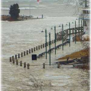 Media 'Port Dover - Feb. 24, 2019' in album 'Port Dover - Feb. 24, 2019'