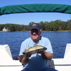 Media 'first red on the boat' in album 'Picking up the new boat'