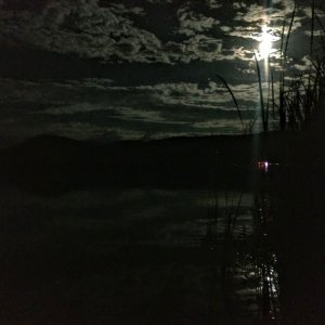 Media 'Moon across the lake.' in album 'Spent a couple of nights at our local pond (Pondagonia, as we so loving call it). Got 2 boat-in camp sites and shuttled about 20 people, and their gear, to the sites for 4th of July weekend. It was HOT and buggy but we all survived.'